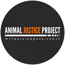Animal Justice Project