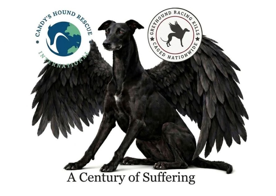 Century of Suffering - Manchester March