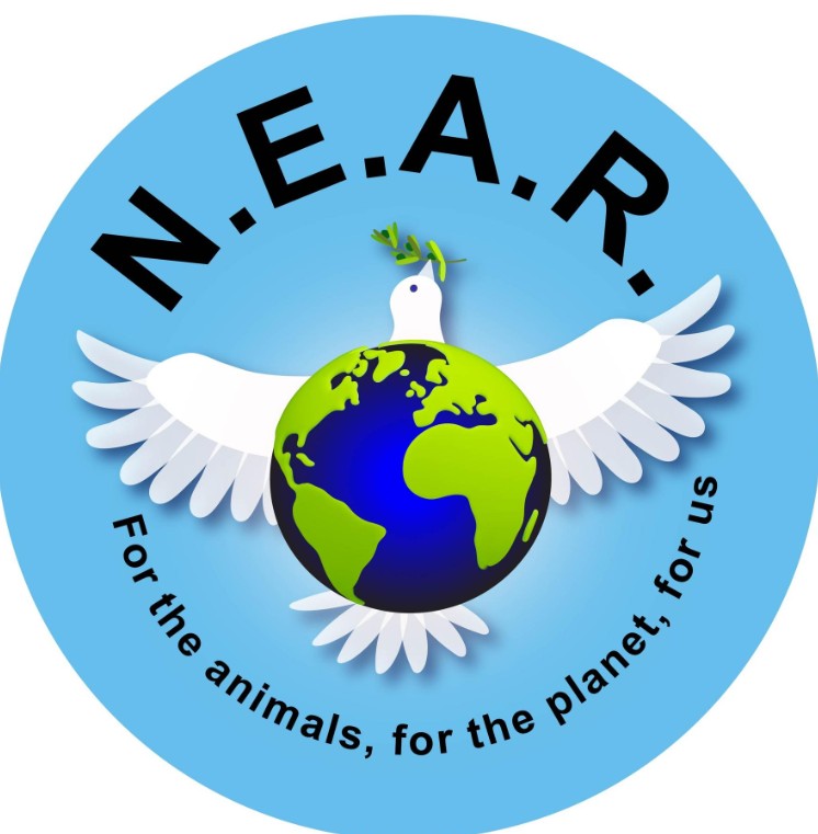 Northeast Animal Rights