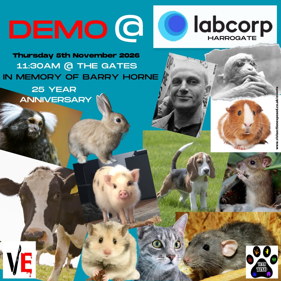 Labcorp protest and Barry Horne vigil
