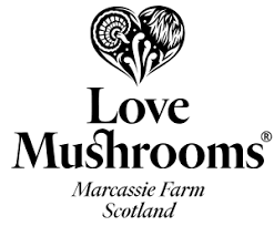 Love Mushrooms