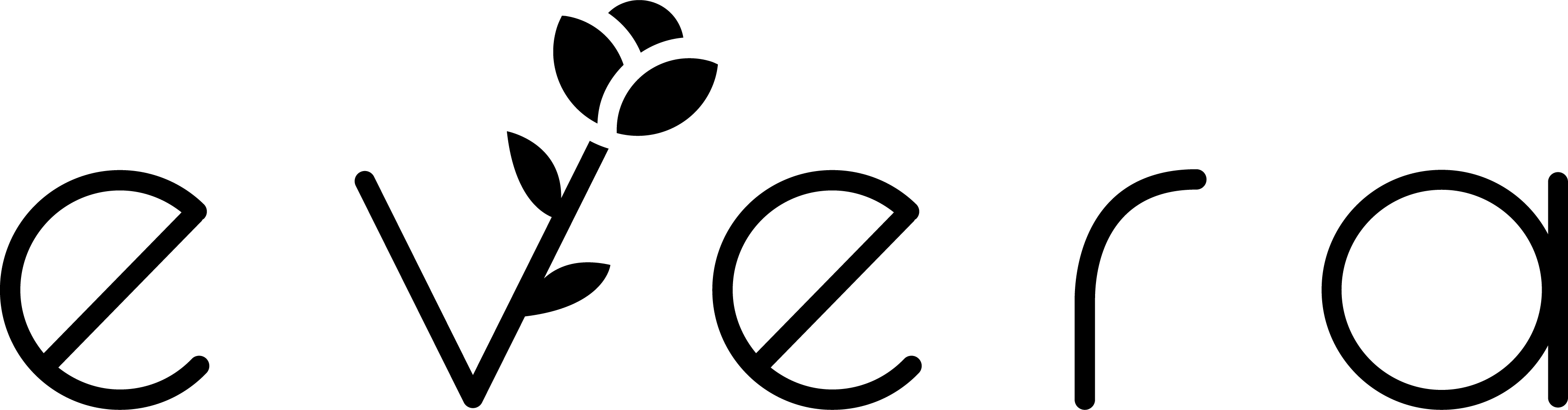 Evera