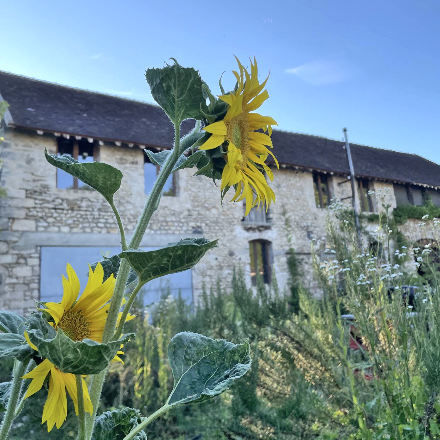 La Grange DesRochers