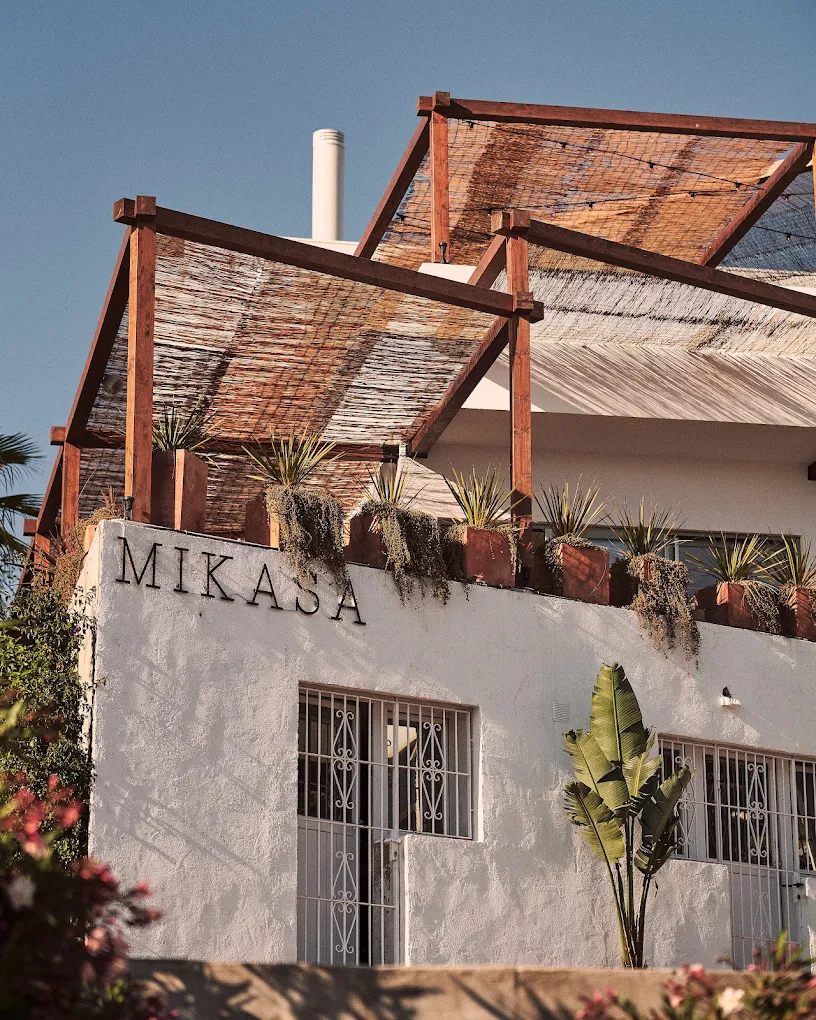 Mikasa Ibiza