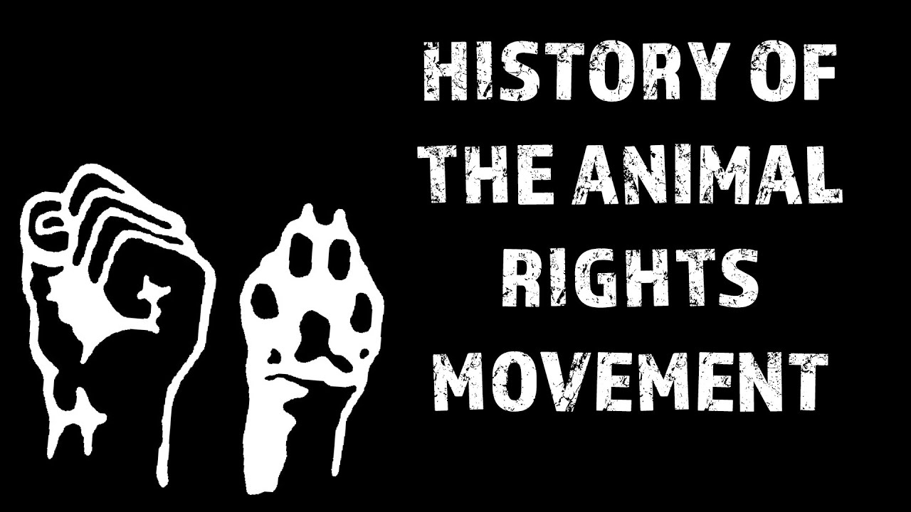 Animal Rights