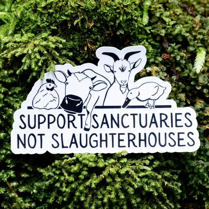 Animal Sanctuary