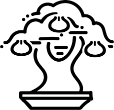 Bonsai Plant Kitchen