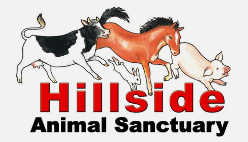 Hillside Animal Sanctuary