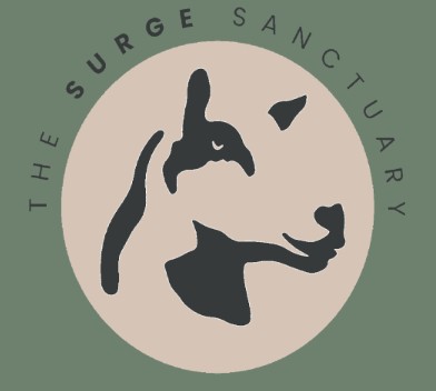 Surge Sanctuary