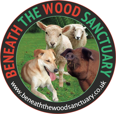 Beneath the Wood Sanctuary
