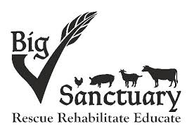 Big V Sanctuary