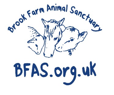 Brook Farm Animal Sanctuary