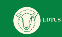Lotus Lamb & Animal Sanctuary