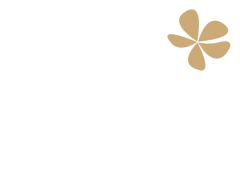 Spa Twenty Six